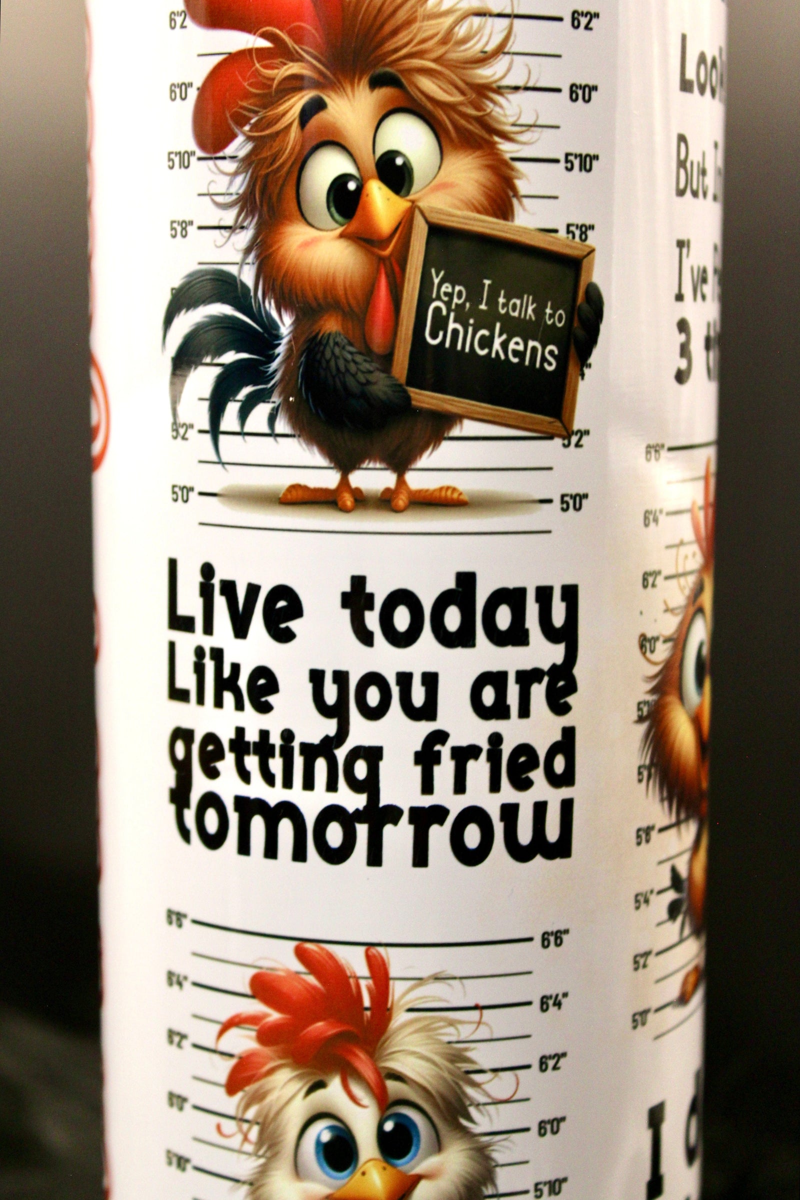 DillyDog Creations wrapin 20 Oz Skinny Tumbler / Funny Chicken Fried