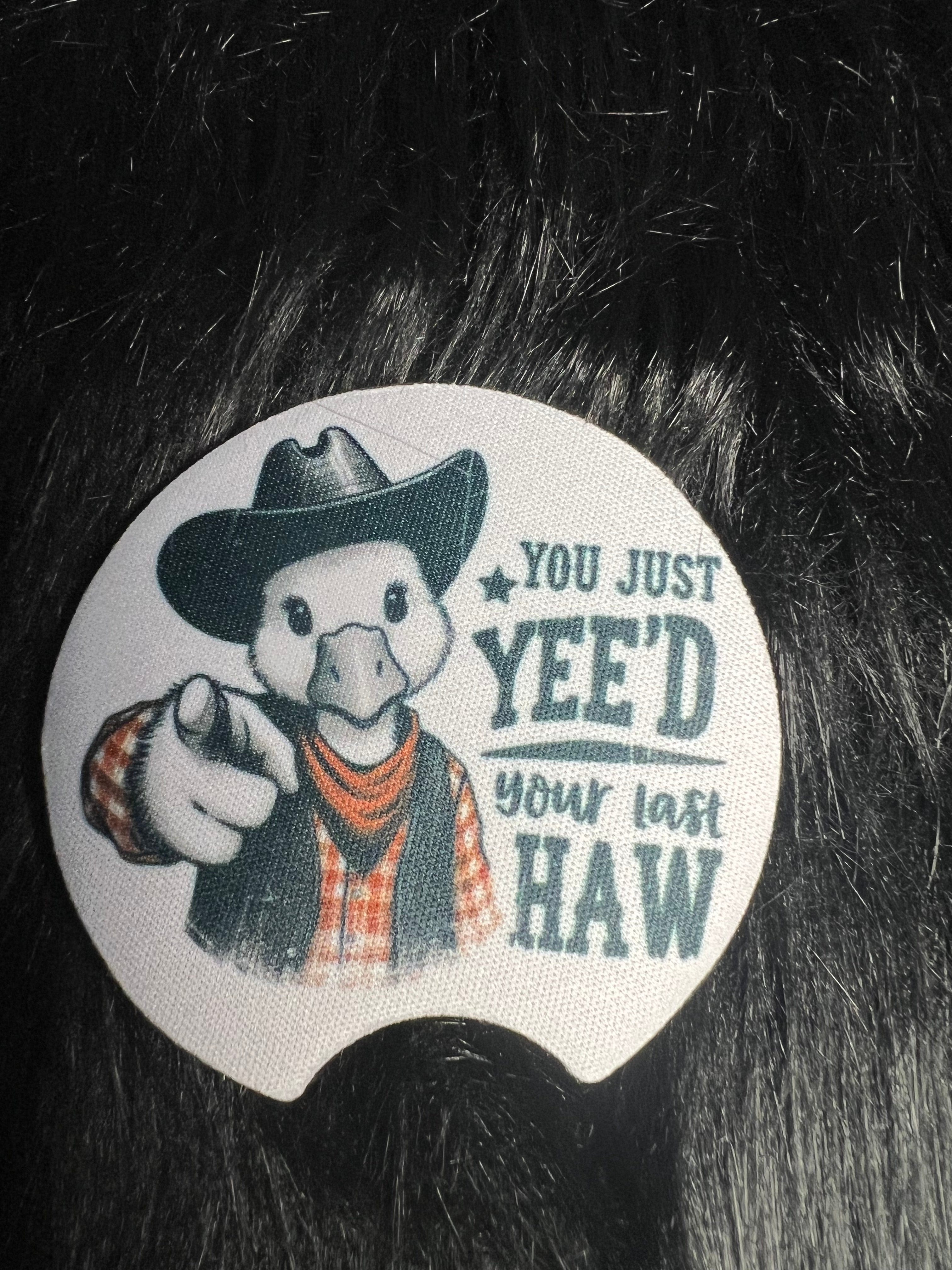 DillyDog Creations wrapin Car Coaster Set / You Just Yee’D Your Last Haw