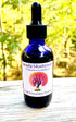 DillyDog Creations wrapin Dual Extracted Mushroom Tincture / Reishi ( Ganoderma Lucidum )