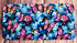 DillyDog Creations wrapin License Plate Set / Butterfly