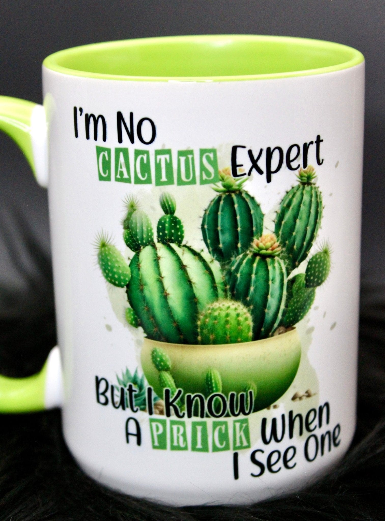 DillyDog Creations wrapin Mug / Cactus Expert ( Green Interior )